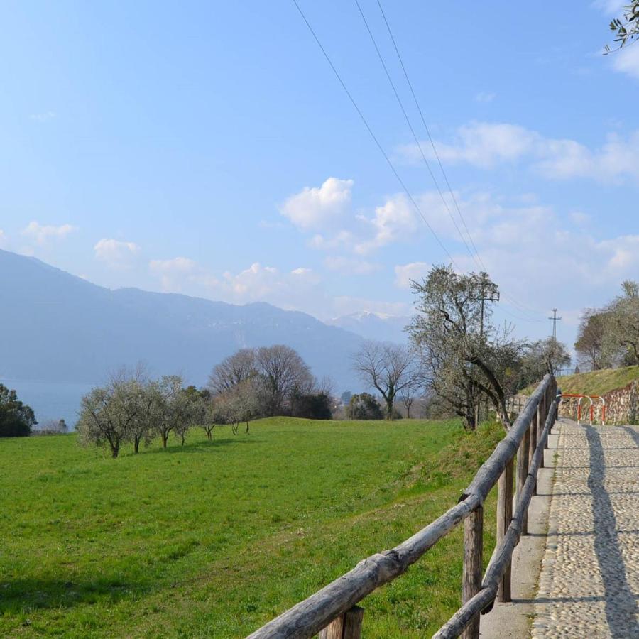 La Cascina Della Vigna Del Viandante Villa Абадия Лариана Екстериор снимка