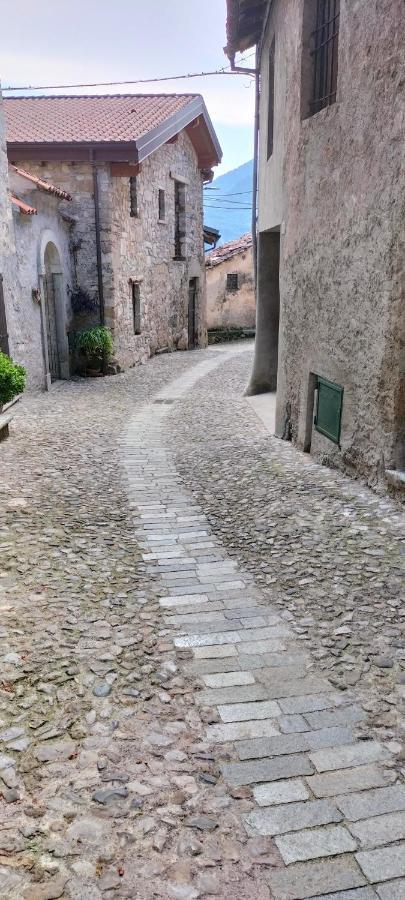 La Cascina Della Vigna Del Viandante Villa Абадия Лариана Екстериор снимка